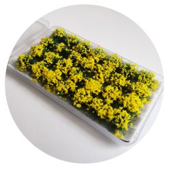 Plantas en miniatura