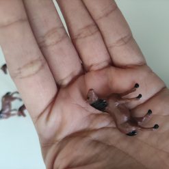 Caballos a escala 1:87