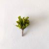 Árboles pequeños para maquetas