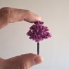 Árboles en miniatura lila