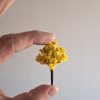 Árboles en miniatura amarillo