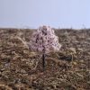 Árboles en miniatura rosa