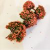 Árboles rosados para maquetas