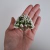 Árbol blanco para maquetas