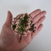 Árbol rosa para maquetas