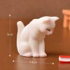 Gato para terrarios
