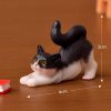 Gato en resina