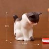 Gato en resina