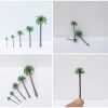 Palmeras en miniatura