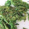 Musgo artifical para maquetas