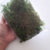 Musgo artifical para maquetas