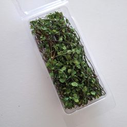 Enredadera para maquetas