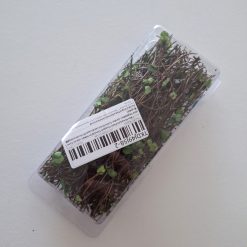Enredadera para maquetas