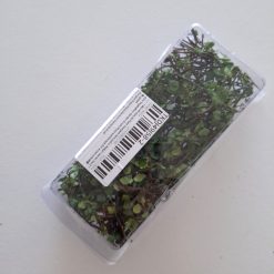 Hojas y tallos para maquetas