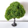 Árbol para maqueta de 15cm