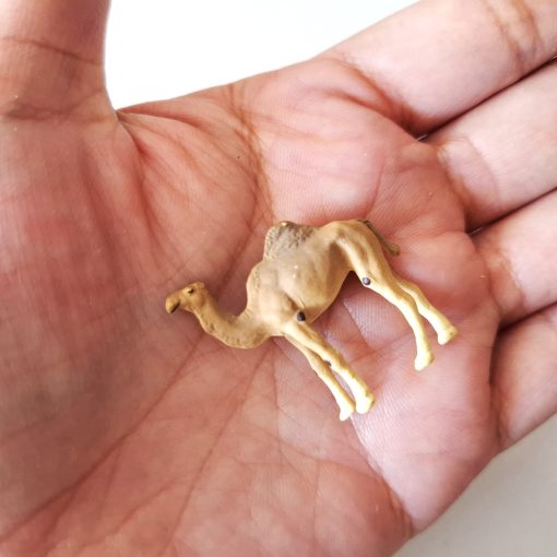 Camello miniatura