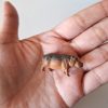 Hipopótamo miniatura