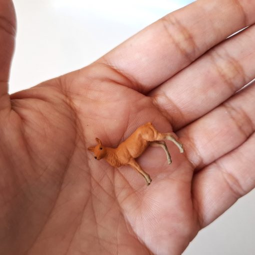 Ciervo miniatura