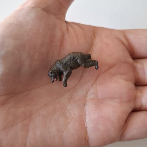 Oso miniatura