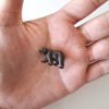 Oso miniatura