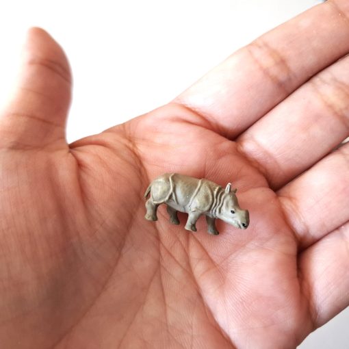 Rinoceronte miniatura