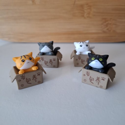 Gatos en caja para terrarios
