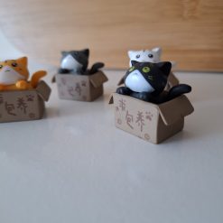 Gatos en caja para terrarios