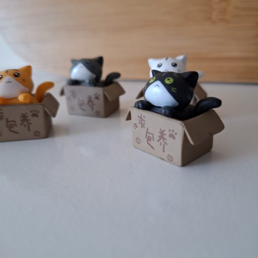 Gatos en caja para terrarios