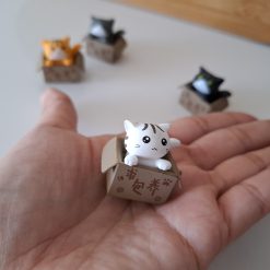 Gatos en caja para terrarios