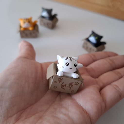 Gatos en caja para terrarios