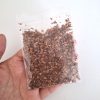 Hojas secas en miniatura