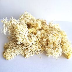 Musgo artificial para maquetas