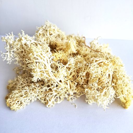 Musgo artificial para maquetas