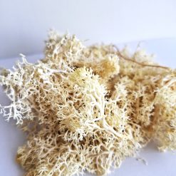Musgo artificial para maquetas beige