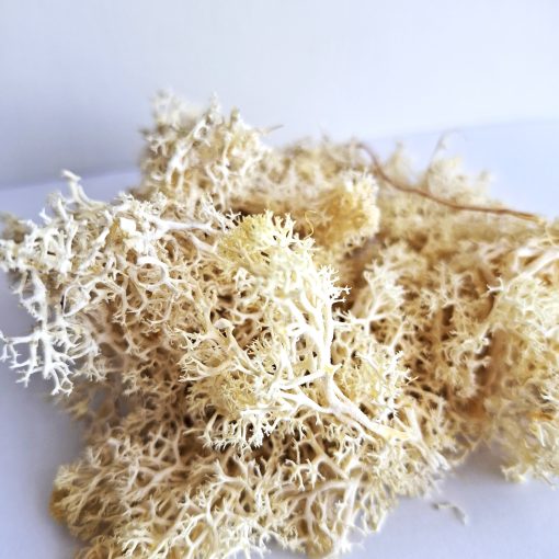 Musgo artificial para maquetas beige