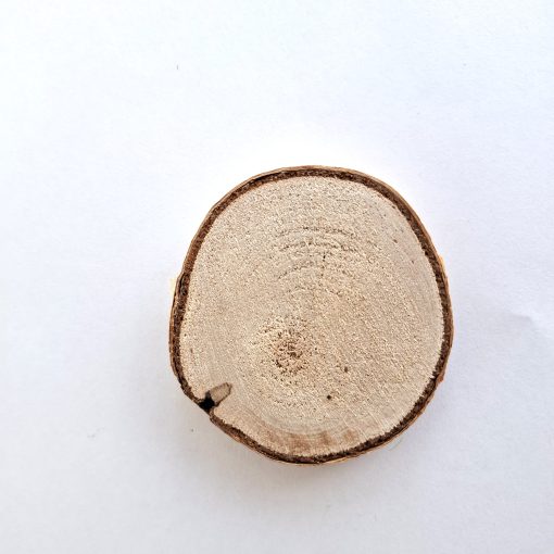 Círculo de madera en miniatura