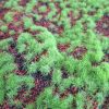 Pasto sintético para maquetas