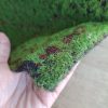 Pasto sintético para maquetas