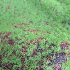 Pasto sintético para maquetas