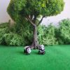Pandas a escala HO