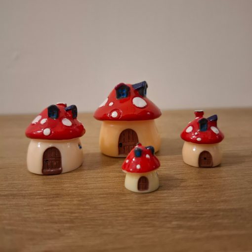 Hongos para terrarios