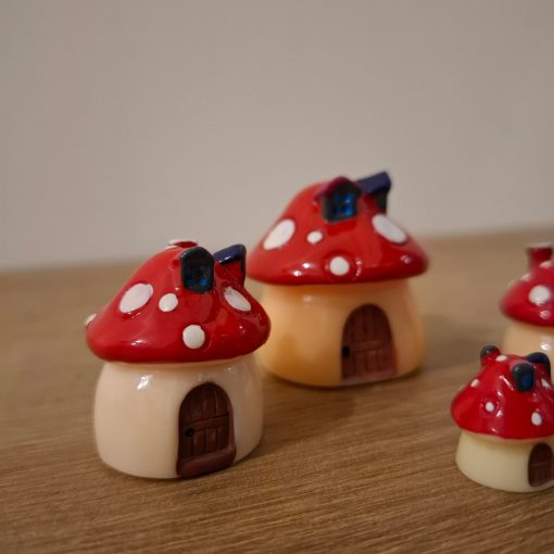 Hongos para terrarios