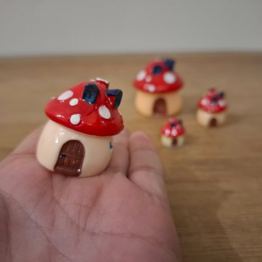 Hongos para terrarios