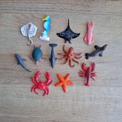 Animales marinos en miniatura