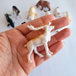 Animales del Polo Norte