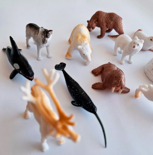 Animales del Polo Norte