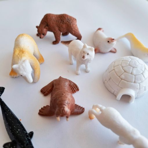 Animales del Polo Norte