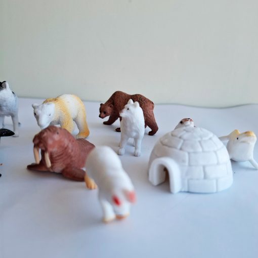 Animales del Polo Norte