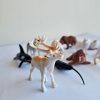 Animales del Polo Norte