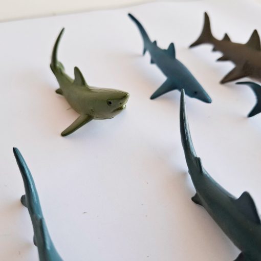 Animales del mar en miniatura